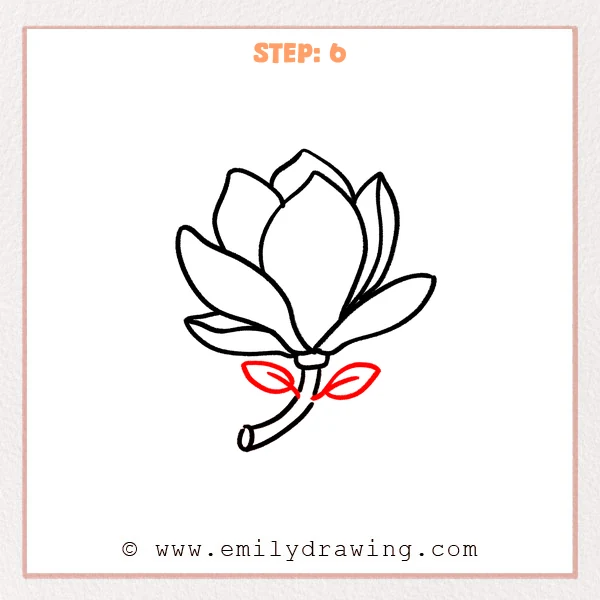 how to draw a magnolia flower - Step 6